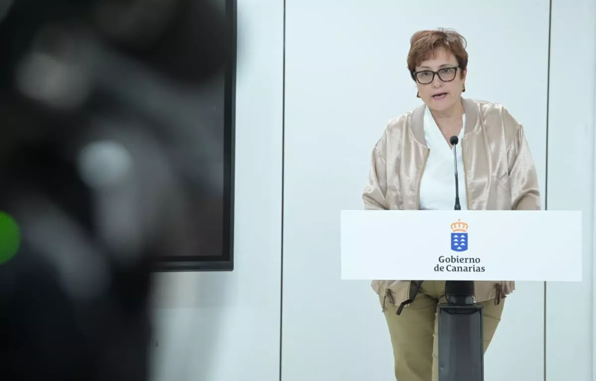 Canarias pide al Estado abrir centros adecuados para los menores asilados con arraigo en las islas