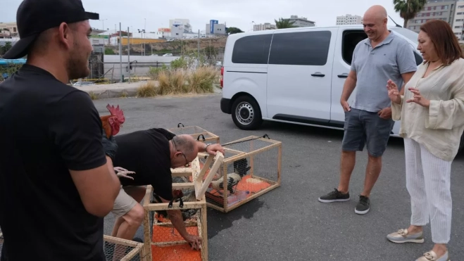 La concejala Carmen Luz Vargas, en una imagen de archivo de retirada de aves (1) La concejala Carmen Luz Vargas, en una imagen de archivo de retirada de aves (1)
