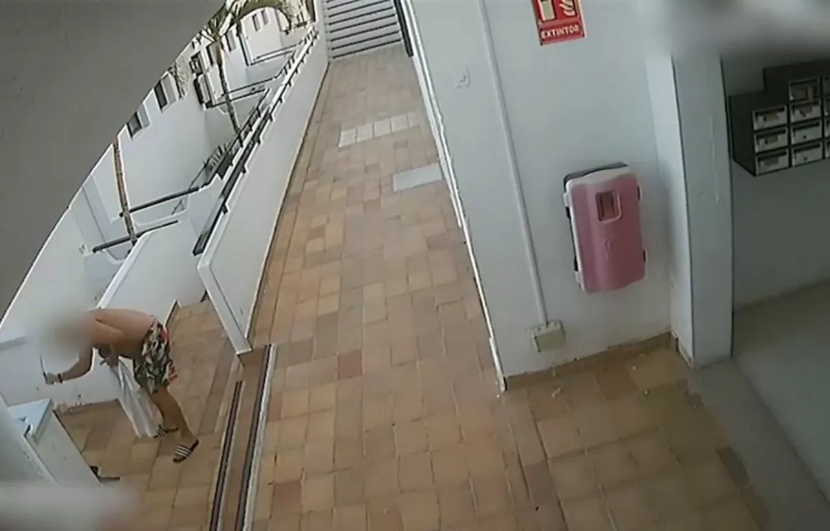 Crueldad animal en Gran Canaria: detenido por golpear hasta la muerte a una gata doméstica