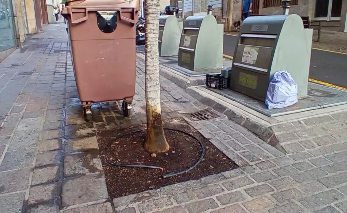 Falta de limpieza en la zona de contenedores de una calle de Santa Cruz|AH