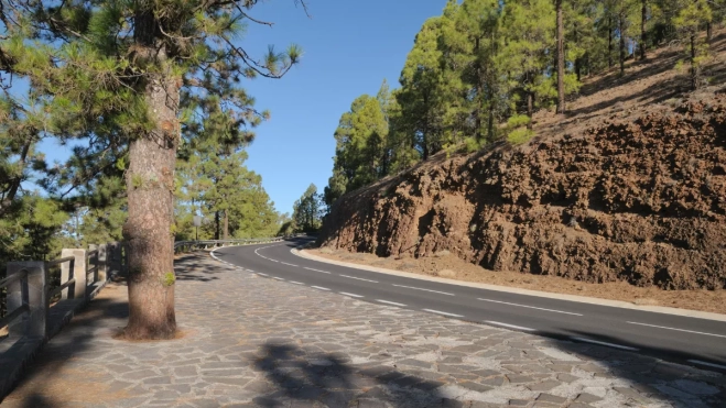 Carretera en una zona forestal en Canarias. / IMAGEN DE LA RED Carretera en una zona forestal en Canarias. / IMAGEN DE LA RED