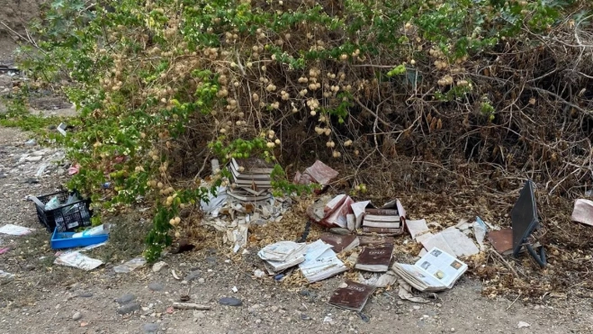 Diseño sin título (4) Diseño sin título (4)