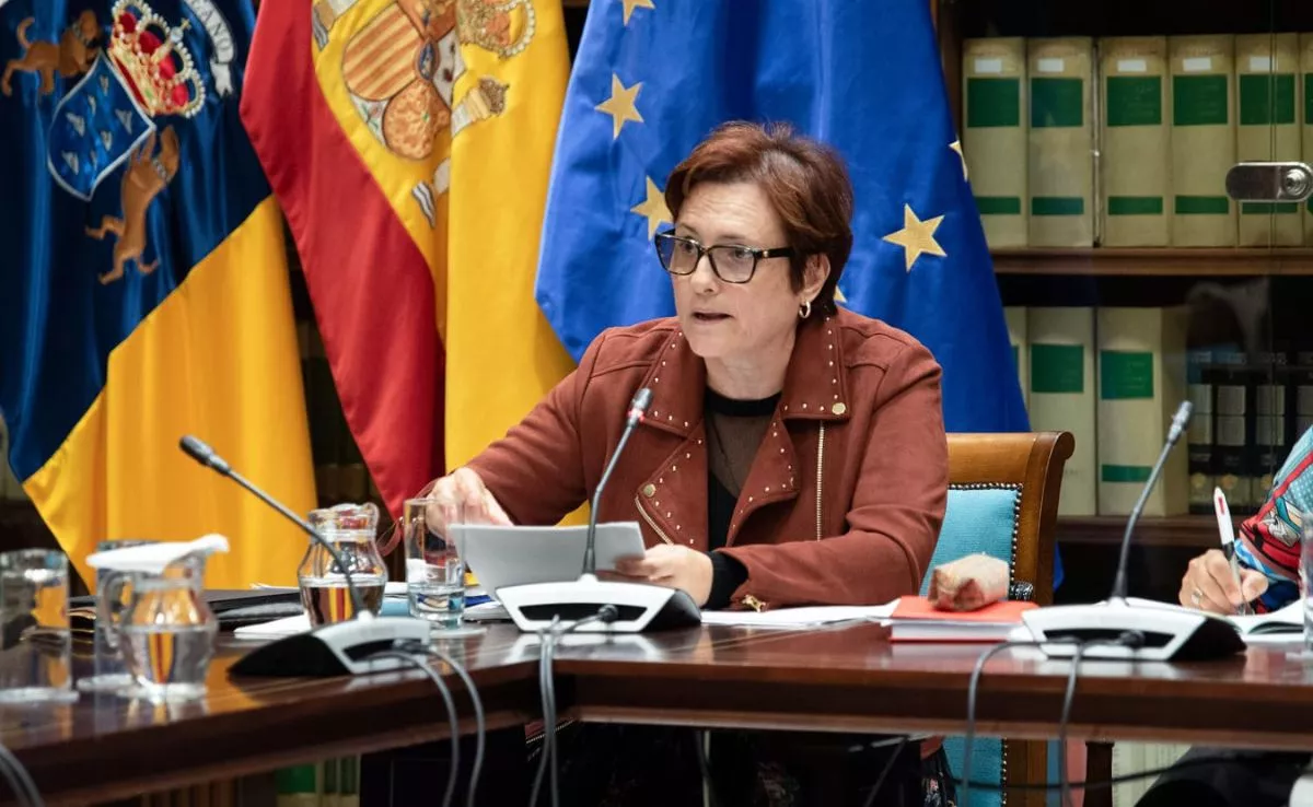 Candelaria Delgado, consejera de Bienestar Social, Igualdad, Juventud, Infancia y Familias del Gobierno de Canarias. /ARCHIVO