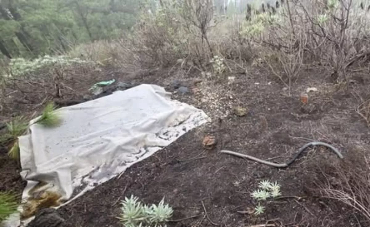 Estación de vigilancia sísmica que ha sido vandalizada en La Palma. /Redes