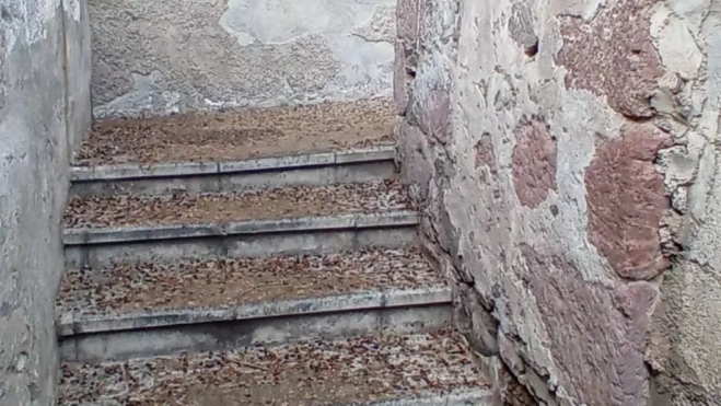 WhatsApp Image 2025 10 23 at 12.33.39 (1) WhatsApp Image 2025 10 23 at 12.33.39 (1)