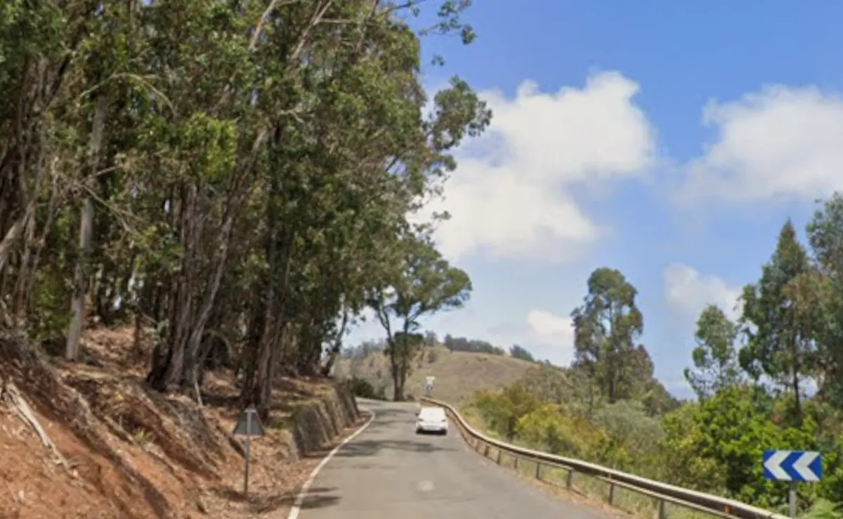 Carretera de Los Chorros, entre Firgas y Arucas / AH