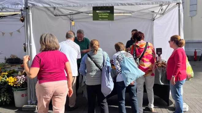 Diseño sin título 2025 10 25T171055.154 Diseño sin título 2025 10 25T171055.154