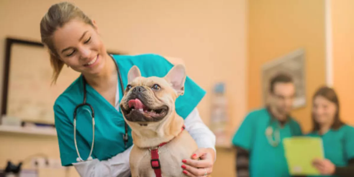 Imagen genérica de una estudiante de veterinaria / PEXELS