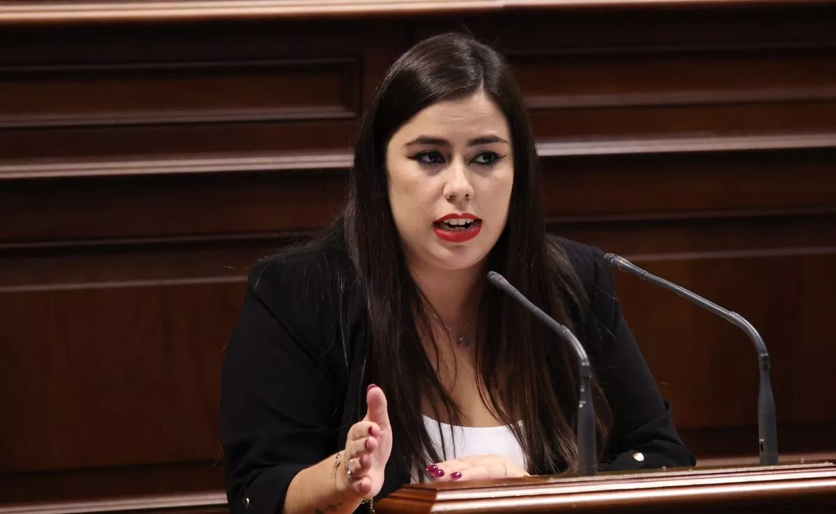 La diputada socialista Alicia Pérez, que defendió la PNL para que las empresas en I+D+i puedan aplicarse deducciones del REF, independientemente de que el domicilio fiscal del socio esté situado o no en Canarias. /Cedida
