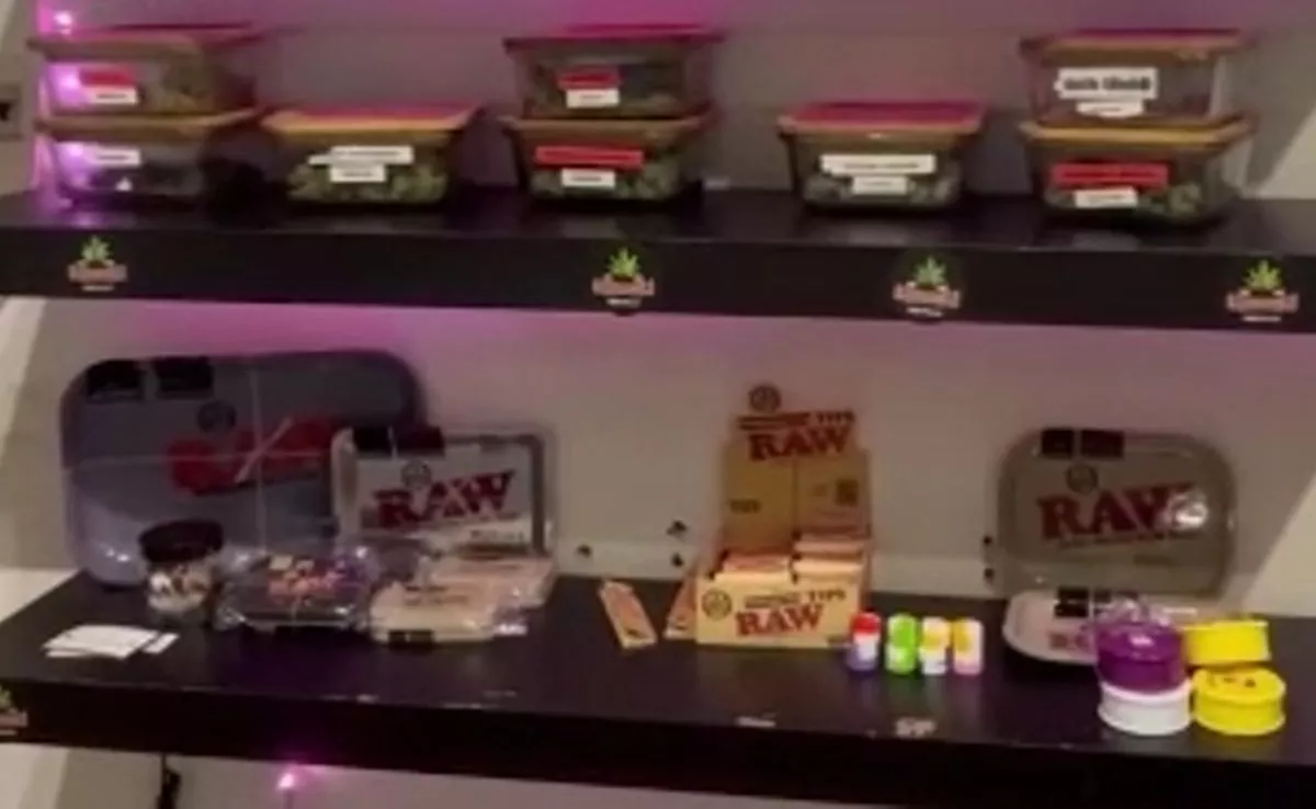 Uno de los puntos de venta de droga que operaban bajo la apariencia de asociaciones cannábicas en Adeje. /Cedida