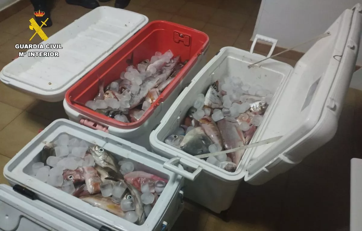 Pescado incautado por la Guardia Civil en Lanzarote. AH