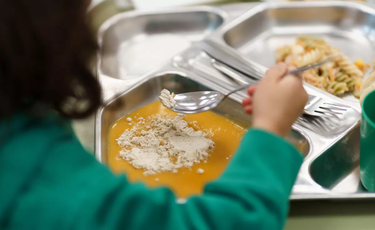 Imagen de un plato de comida de Ecocomedores en Canarias / EFE