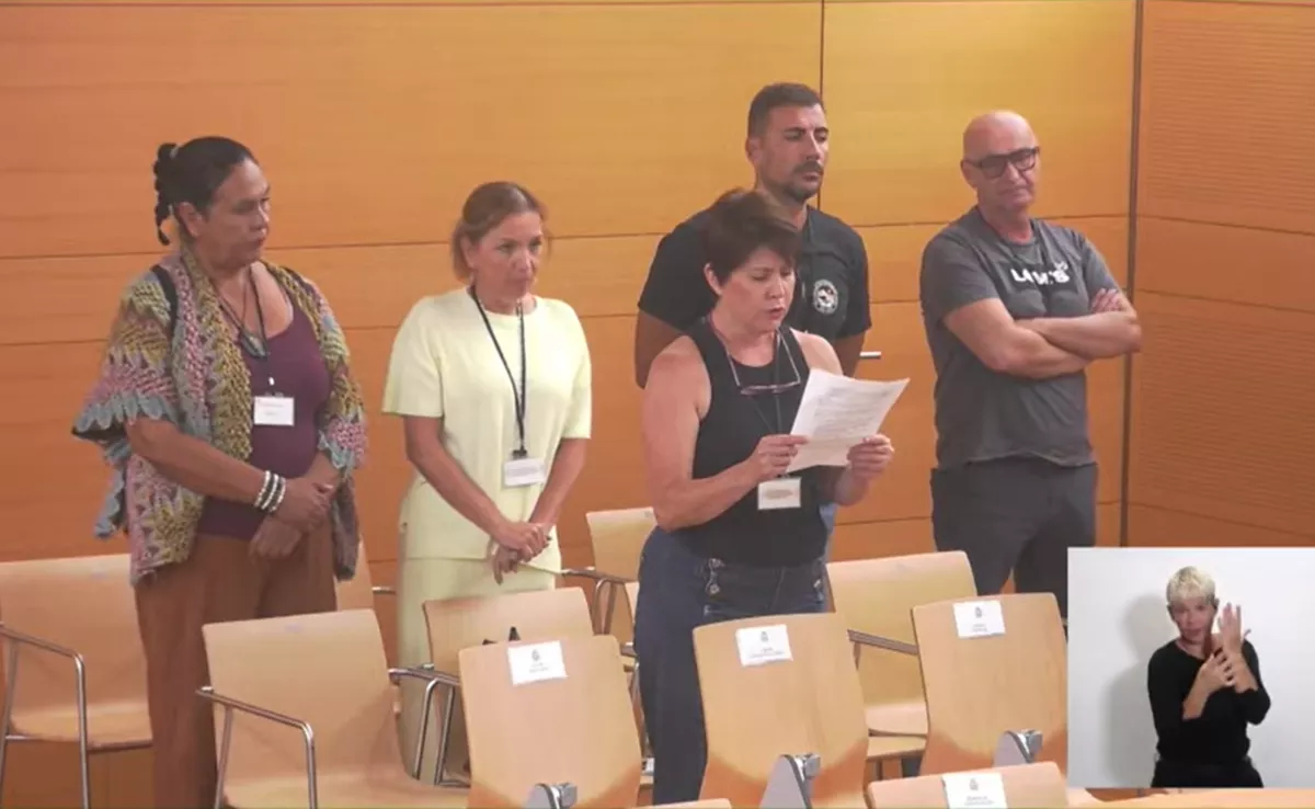 Trabajadores del IASS interrumpen el pleno del Cabildo de Tenerife. / PLENO 