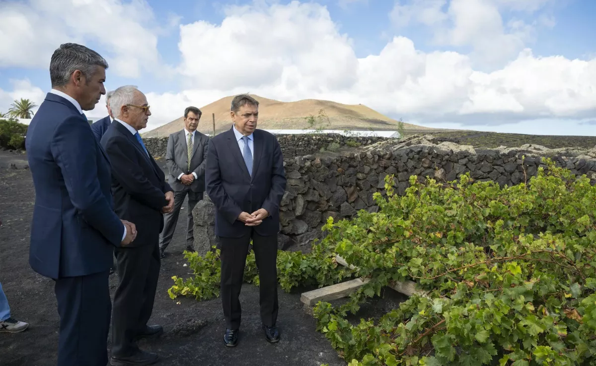El ministro de Agricultura, Luis Planas, en Lanzarote / EFE