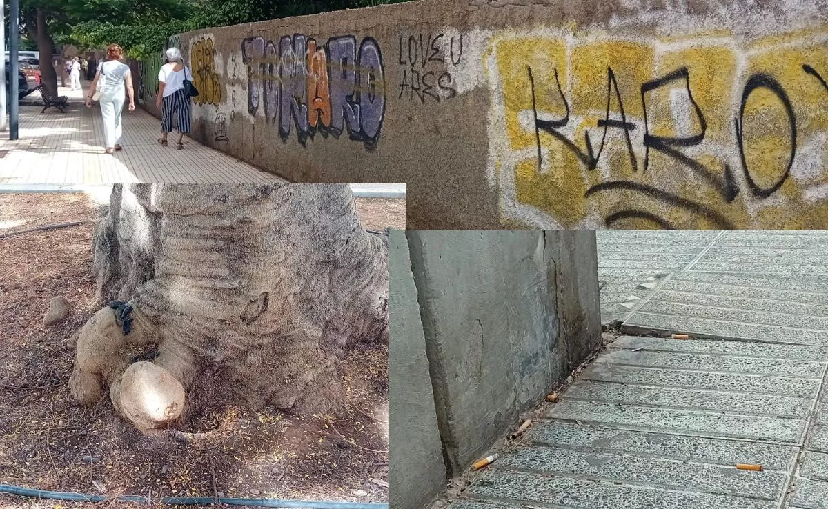 Zonas con poca limpieza de Residencial Anaga. /MONTAJE AH