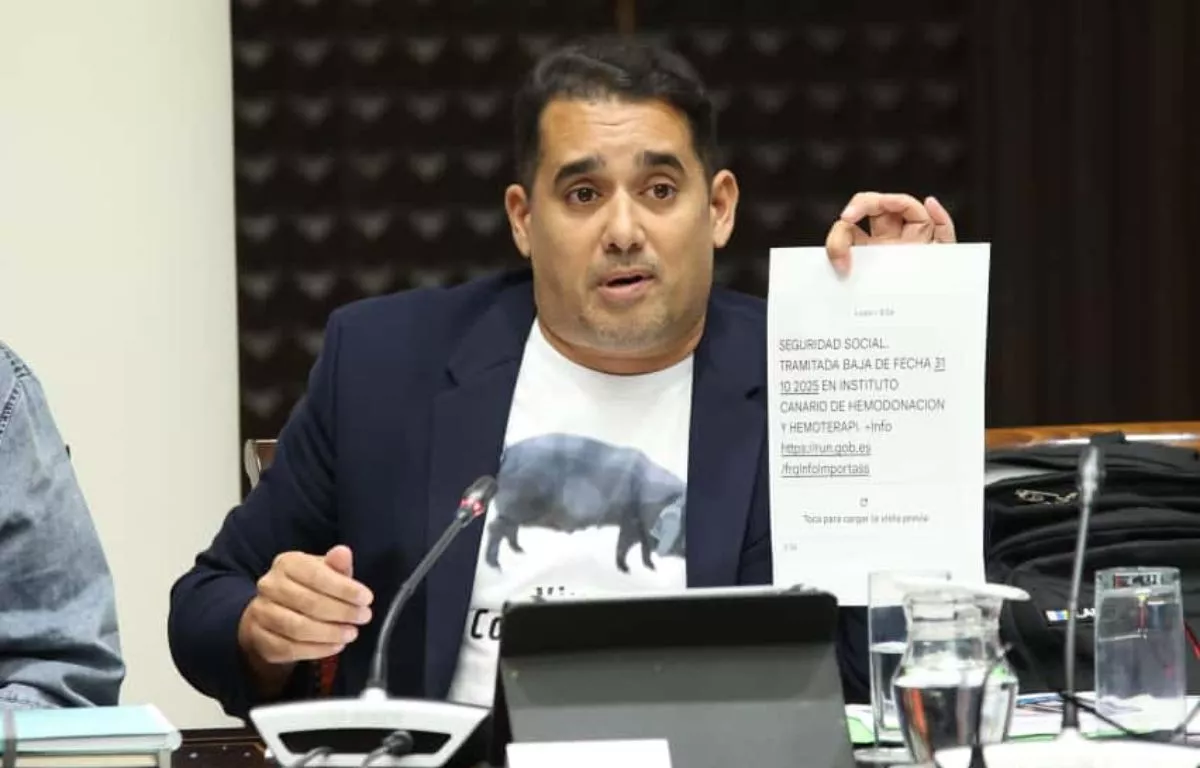 El diputado de Nueva Canarias, Yoné Caraballo.