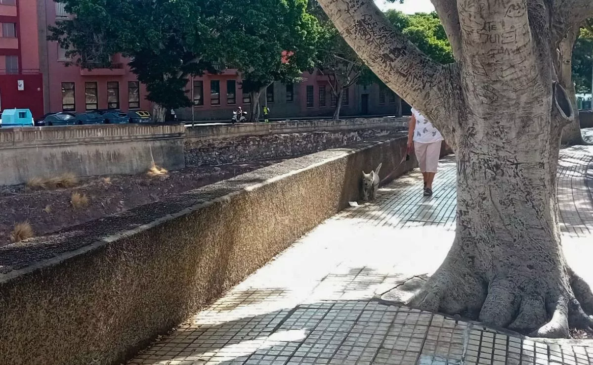 Persona caminando por la acera junto al muro del barranco de Residencial Anaga|AH