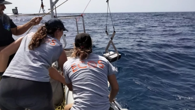 Imagen de uno de los proyectos de ECOS / ECOS