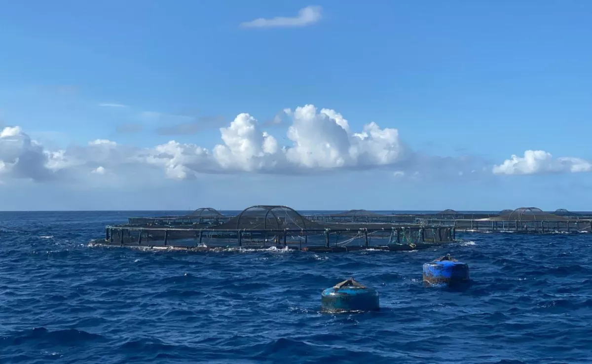 Una de las granjas marinas que gestiona Aquanaria en la costa este de Gran Canaria. / AH 