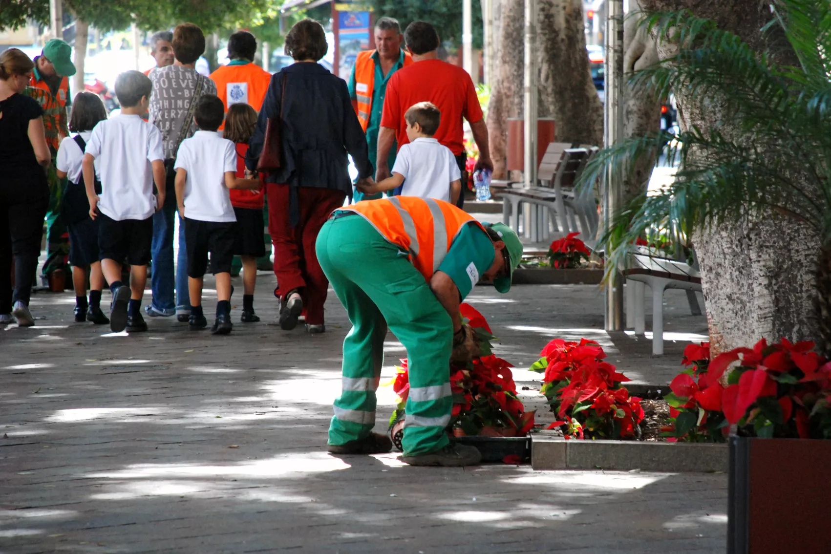 Santa Cruz refuerza el mantenimiento de sus zonas verdes con un contrato de tres años. AH