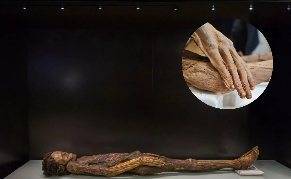 Momia del Barranco de Erques junto a la que está en Viena. / MONTAJE AH