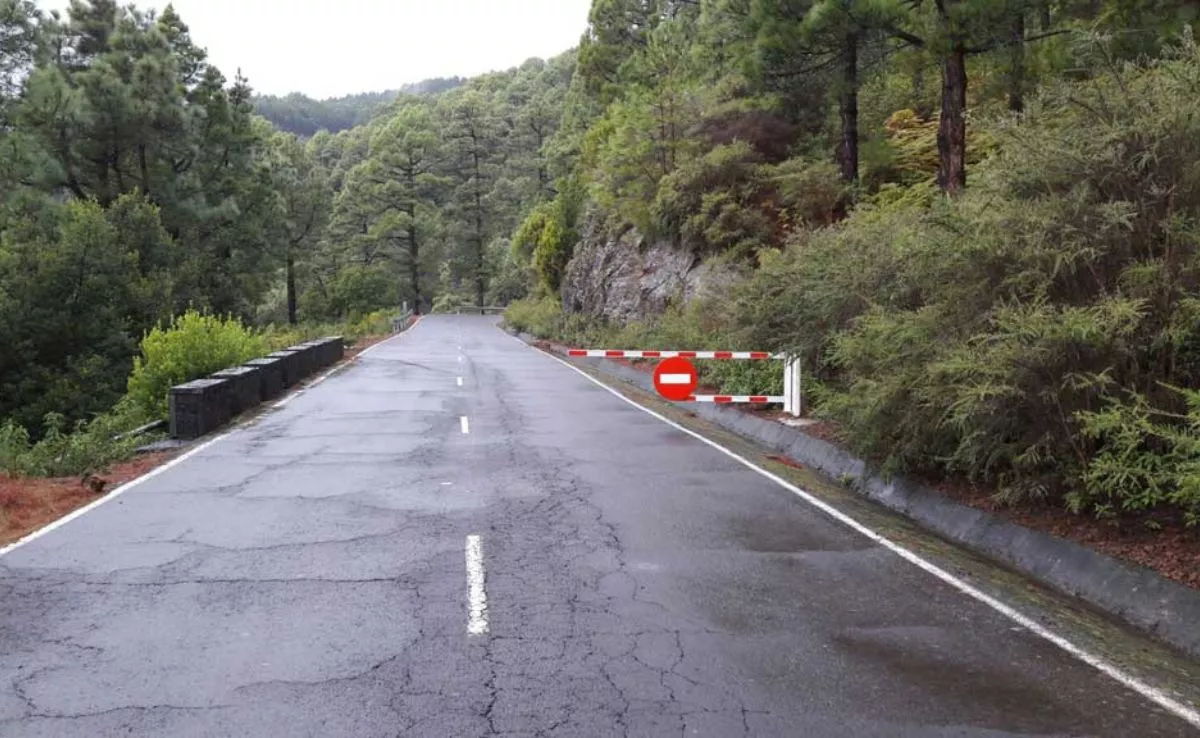 Carretera LP 4, al Roque de los Muchachos, en La Palma. /Redes