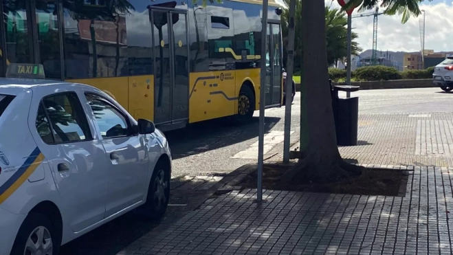 Baldosas de la acera de la parada de taxi levantadas por el árbol y sin un rebaje / ARIADNA MARTÍNEZ - ATLÁNTICO HOY Baldosas de la acera de la parada de taxi levantadas por el árbol y sin un rebaje / ARIADNA MARTÍNEZ - ATLÁNTICO HOY
