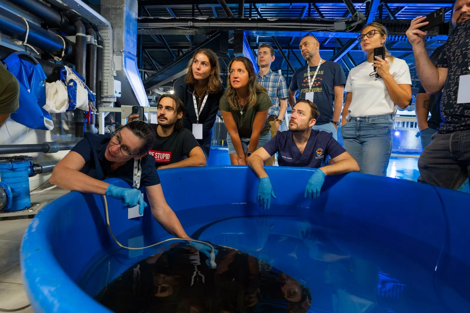 Especialistas internacionales observan una demostración veterinaria durante el taller de medicina avanzada de tiburones y rayas celebrado en Poema del Mar.