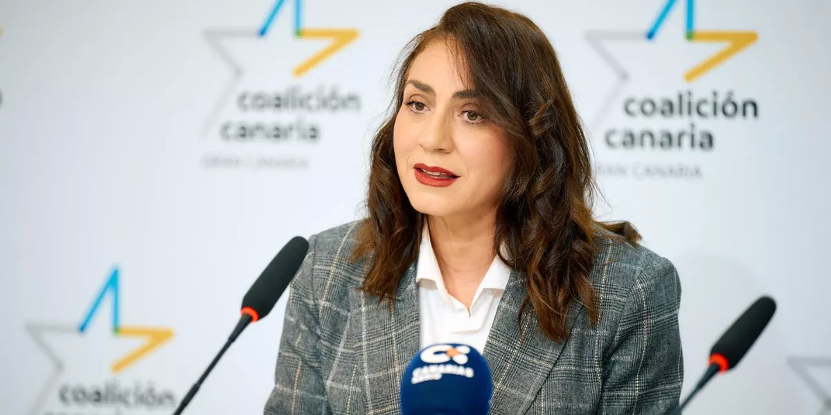 Imagen de la consejera portavoz del grupo de Coalición Canaria en el Cabildo de Gran Canaria, Vidina Cabrera / CC