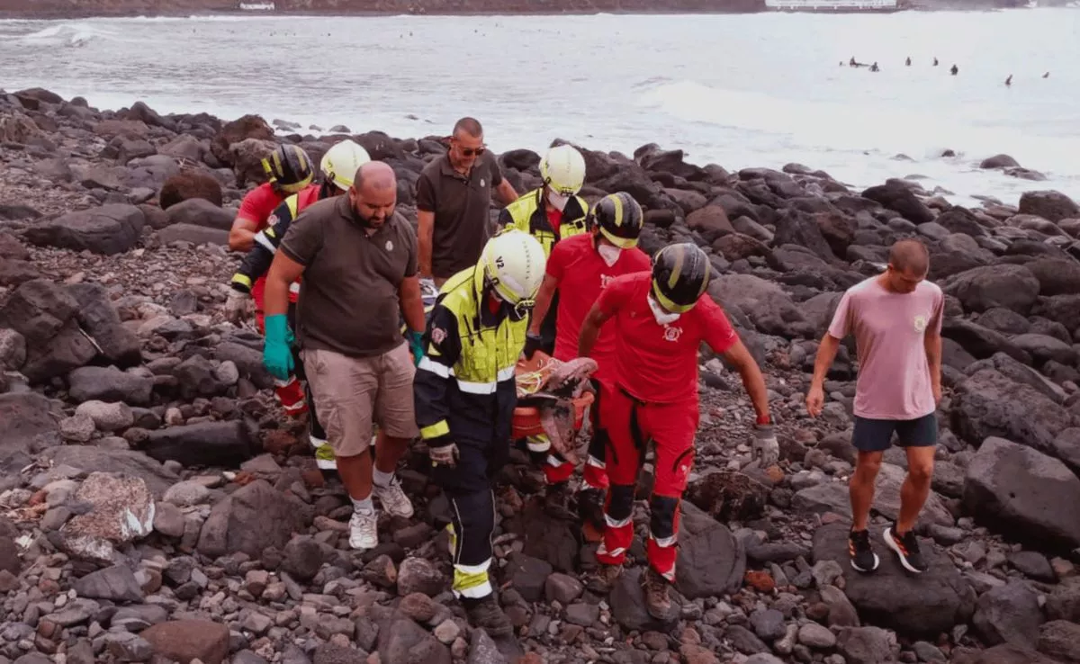 Bomberos de La Laguna y voluntarios de Tegueste colaboraron en el traslado de un cetáceo cetáceo muerto en la playa del Arenal. /Cedida