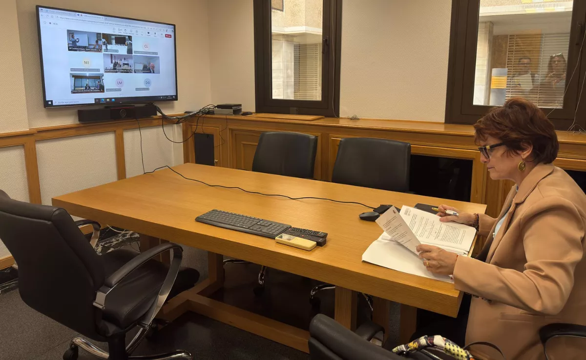 La consejera de Bienestar Social, Candelaria Delgado / GOBIERNO DE CANARIAS