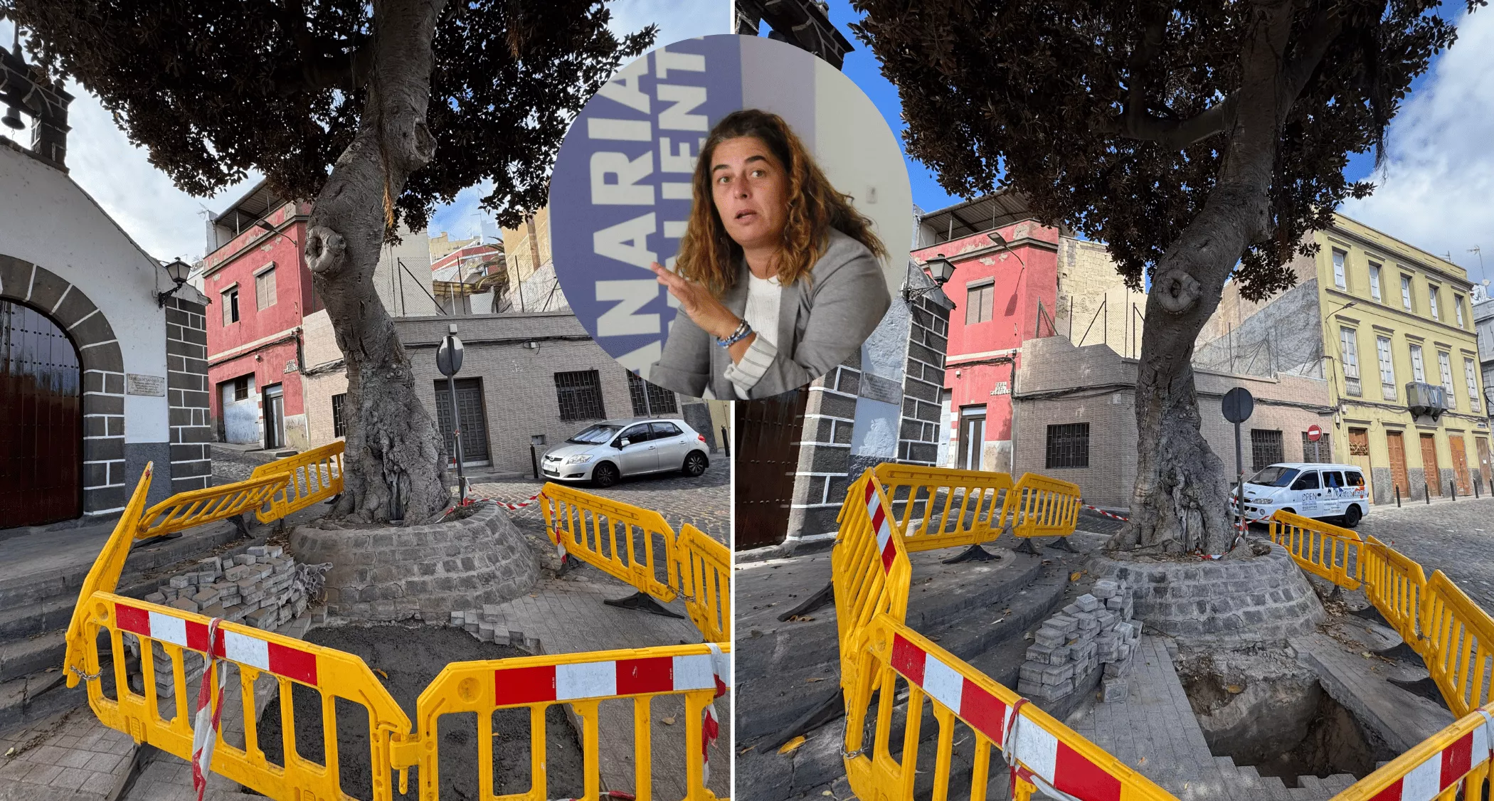 Anatomía de un desastre: el ficus del Risco de San Nicolás sigue sin solución un año después. / AH