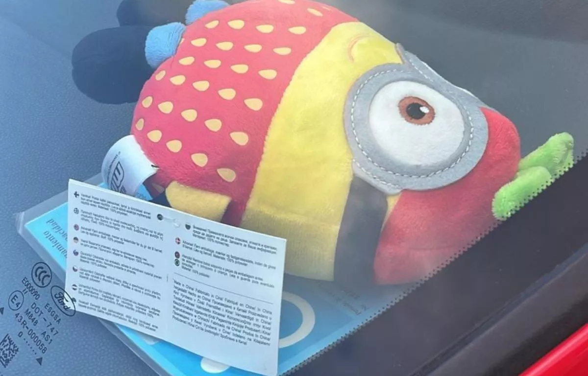 Un Minion no pudo tapar la trampa retirado un coche con tarjeta PMR caducada. POLICIA LPA