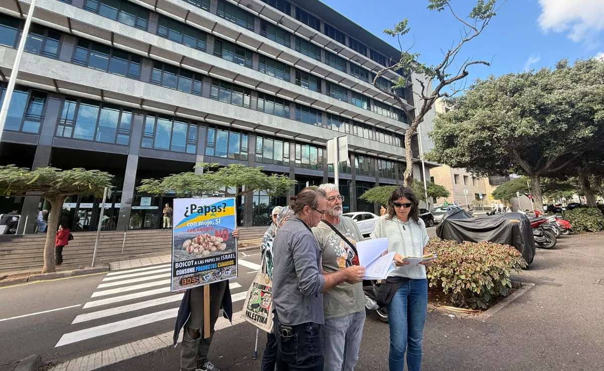 Colectivos que han presentado una queja en Agricultura por la venta de papa de Israel en Canarias. / ATLÁNTICO HOY - ALBA MARICHAL