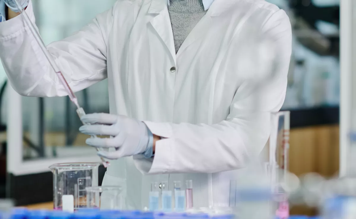 Imagen alusiva a la investigación. / CANVA