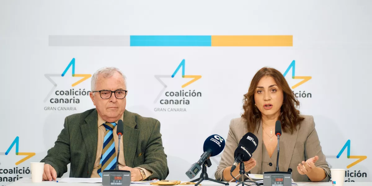 La consejera portavoz del grupo nacionalista, Vidina Cabrera, y el consejero del mismo grupo, Carlos Culebras  CC