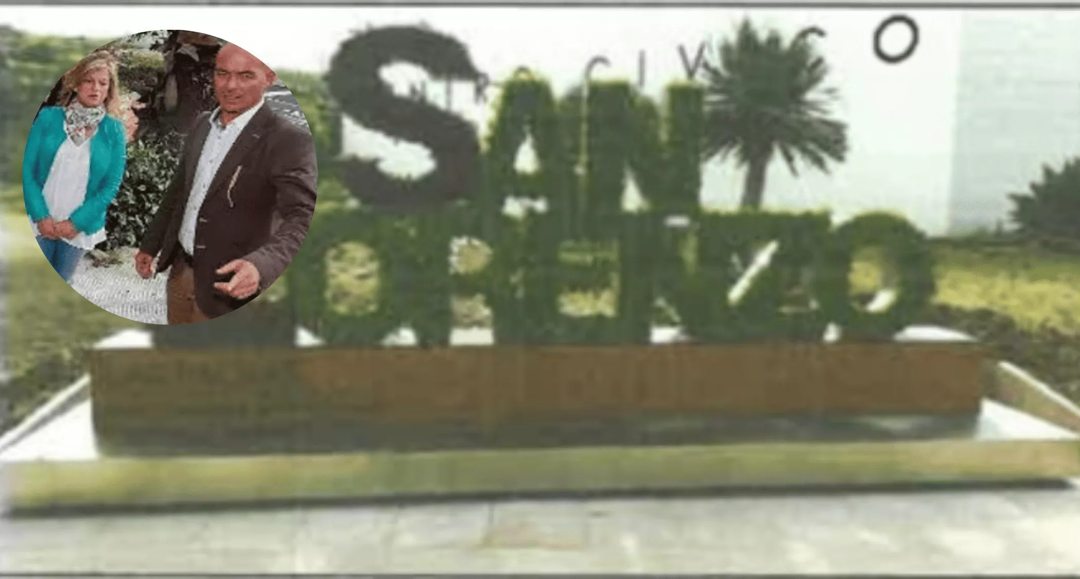 Imagen del jardín vertical de San Lorenzo que Padrón envió a Guerra. / AH