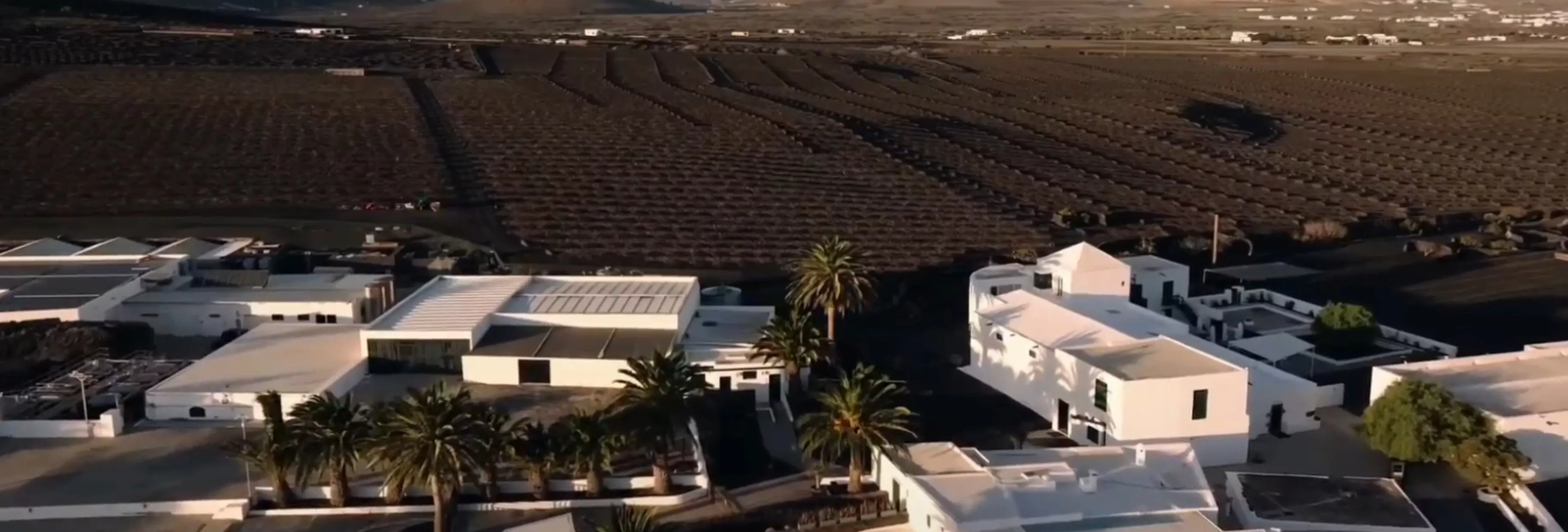 Bodega de El Grifo en Lanzarote. / AH