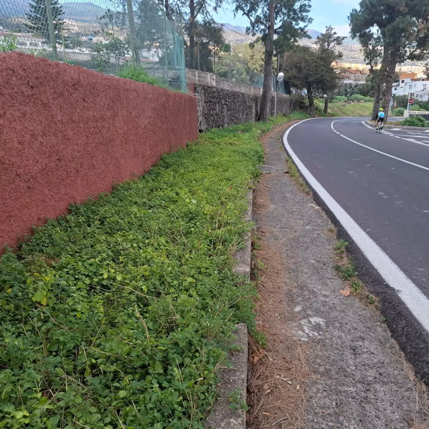 Carretera a la altura de Las Cuevas, en La Orotava. / PLATAFORMA VECINAL HUMBOLDT