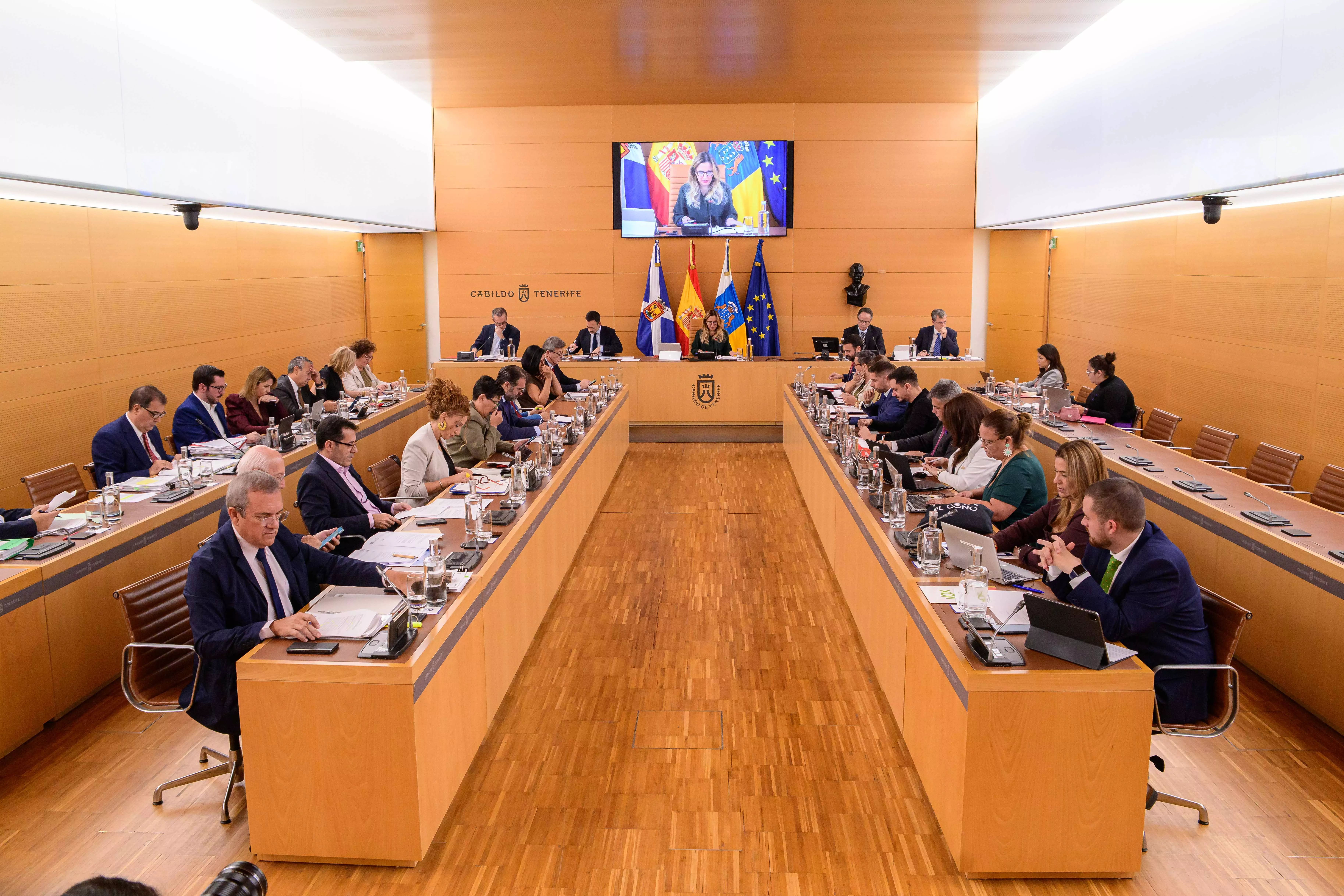 Pleno del Cabildo de Tenerife. / CEDIDA