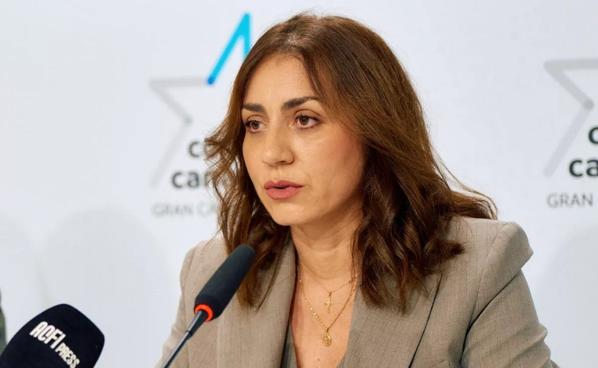 Vidina Cabrera, portavoz de CC en el Cabildo de Gran Canaria / CC