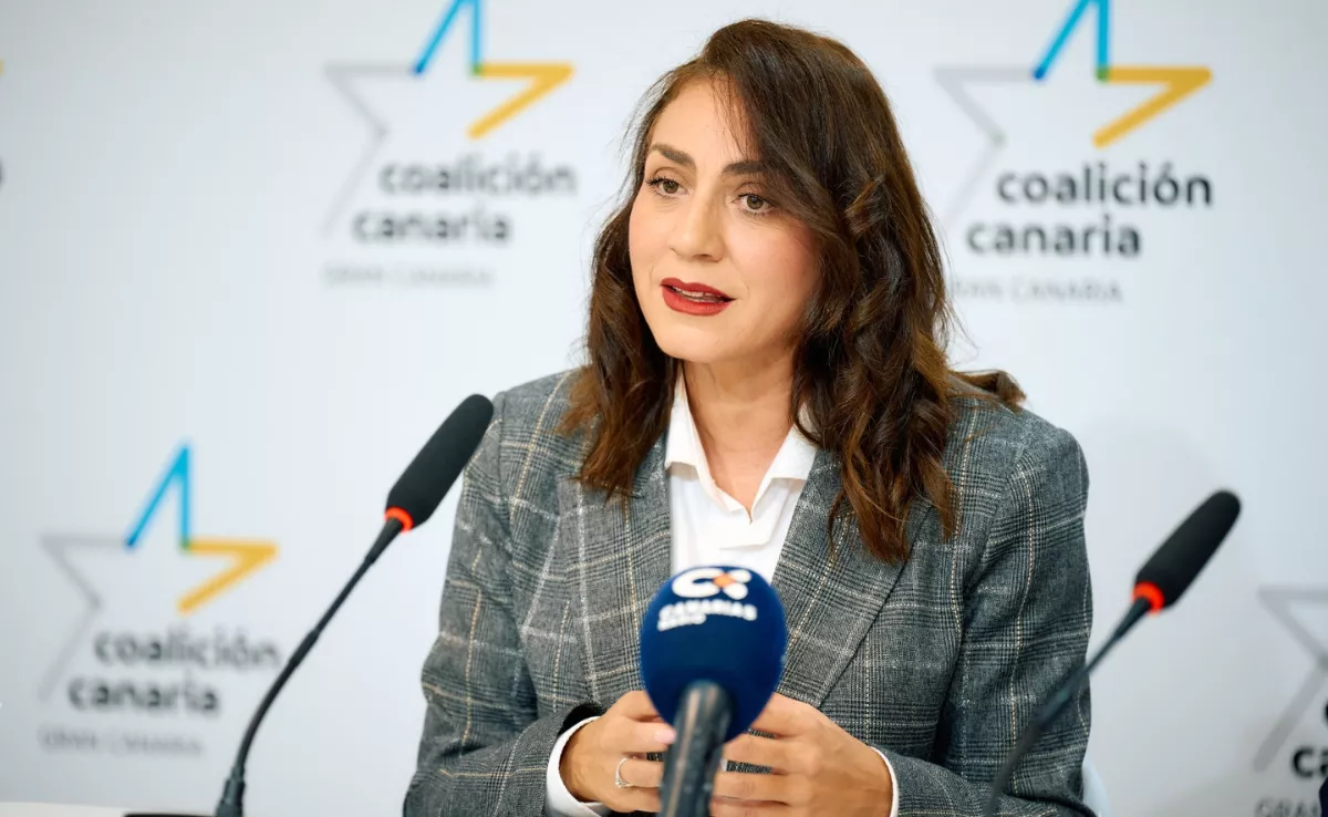 Vidina Cabrera, portavoz de CC en el Cabildo de Gran Canaria. / CC