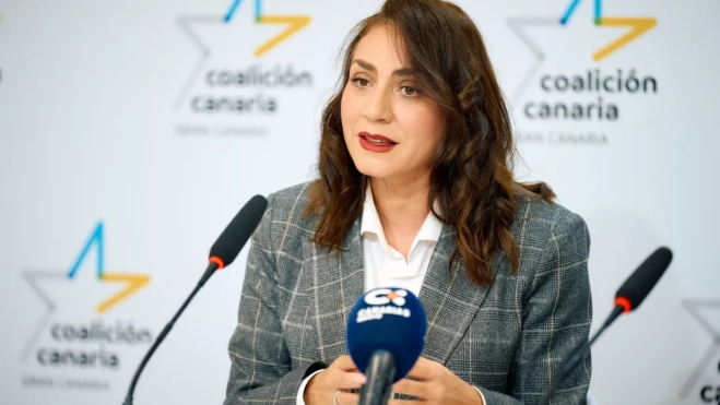 Vidina Cabrera, portavoz de CC en el Cabildo de Gran Canaria / CC Vidina Cabrera, portavoz de CC en el Cabildo de Gran Canaria / CC
