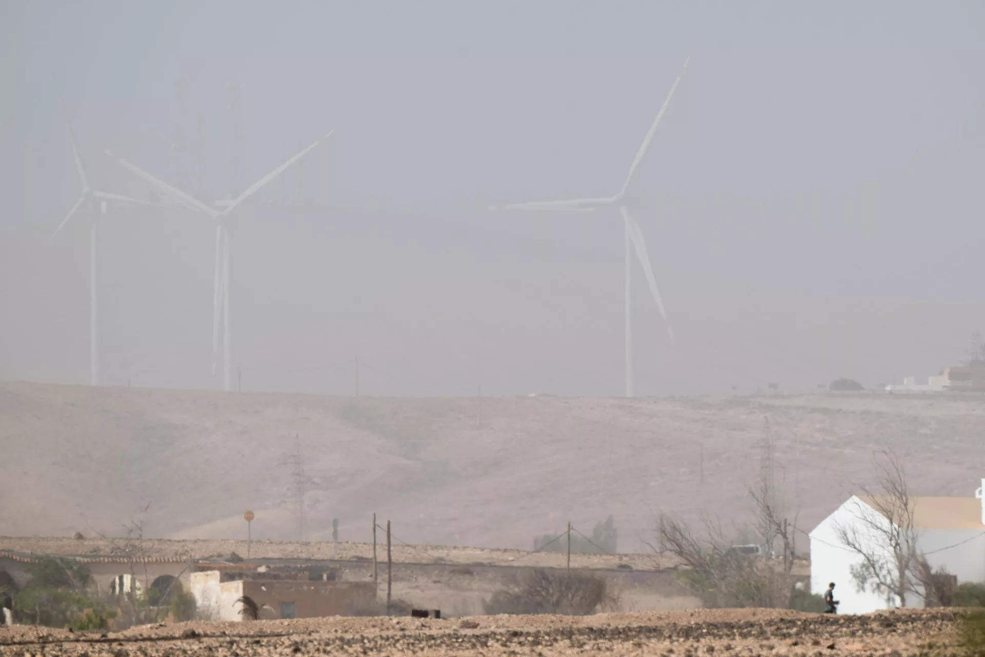 Vista de los efectos de la calima en Puerto del Rosario en Fuerteventura un domingo de noviembre. / CARLOS DE SAÁ
