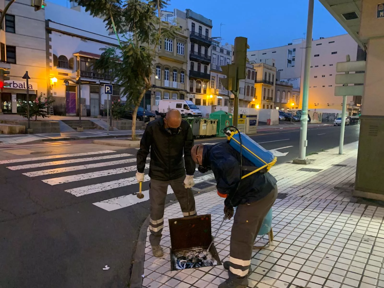 Imagen de archivo de una actuación de control de plagas. AH