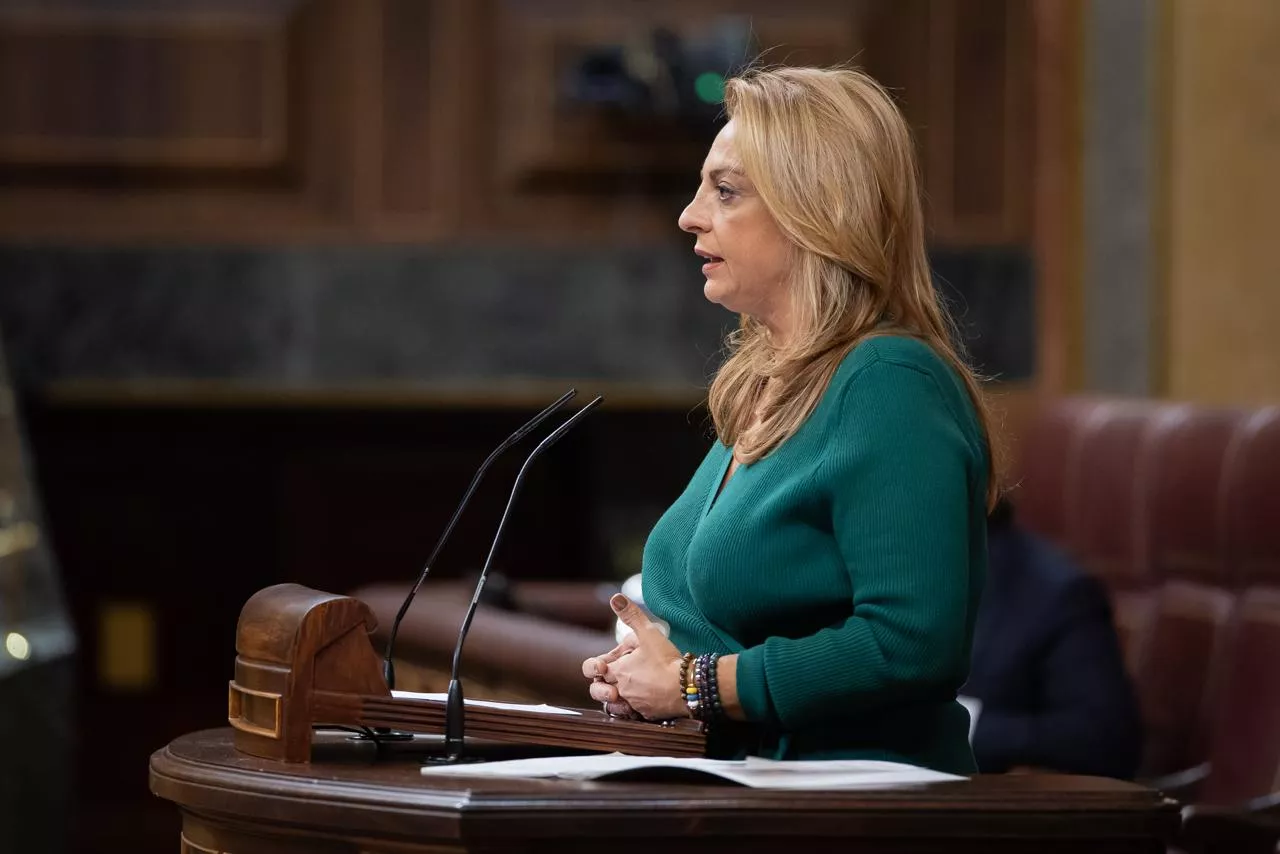 La diputada de Coalición Canaria, Cristina Valido. / CEDIDA