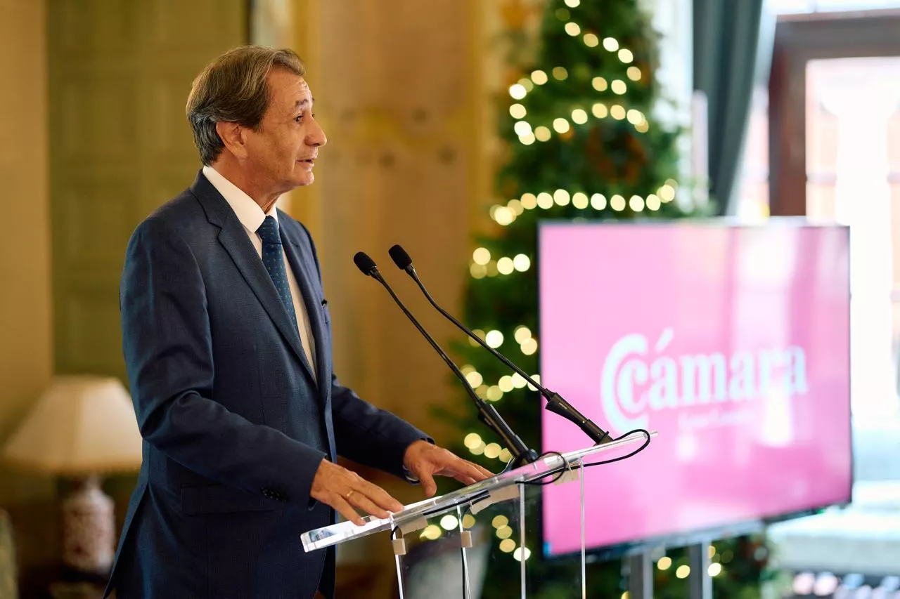El presidente de la Cámara Oficial de Comercio, Industria, Servicios y Navegación de Gran Canaria, Luis Padrón. / CEDIDA