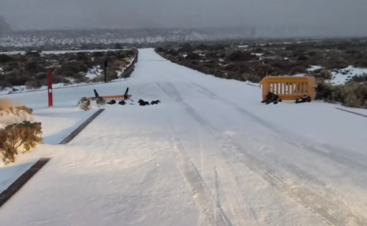 Las Cañadas del Teide amanecen nevadas. / CEDIDA