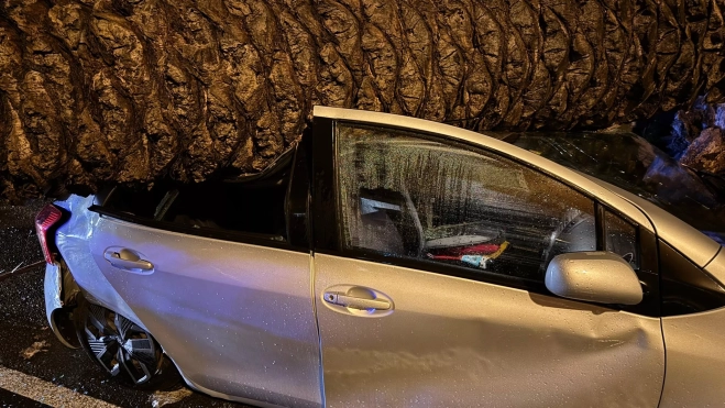 Un vehículo afectado por la caída de una palmera por los fuertes vientos que está dejando la borrasca Emilia. / CABILDO DE GRAN CANARIA Un vehículo afectado por la caída de una palmera por los fuertes vientos que está dejando la borrasca Emilia. / CABILDO DE GRAN CANARIA