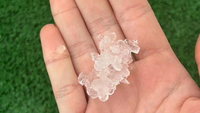 WhatsApp Image 2025 12 13 at 11.12.45 (1)